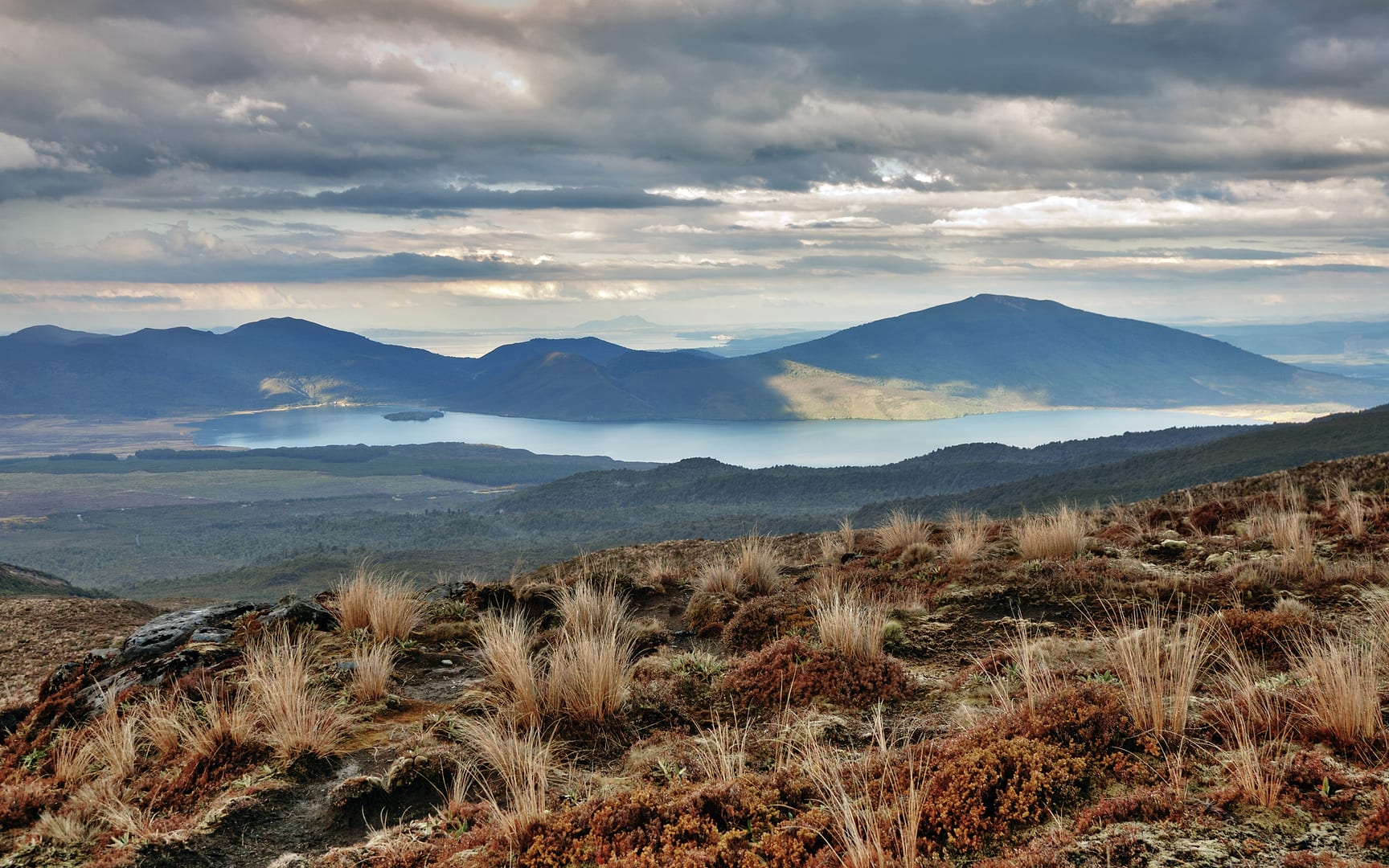 New Zealand — Tongariro — landscape