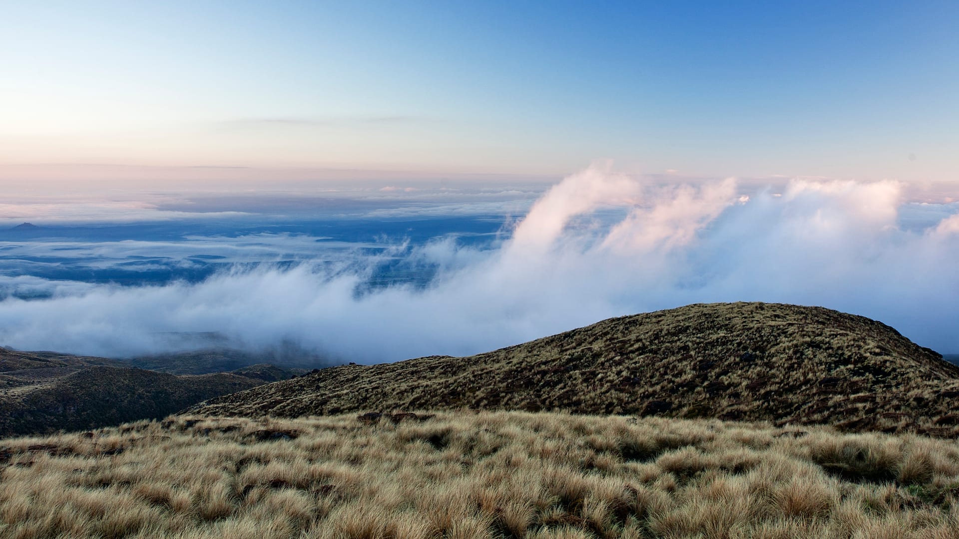 New Zealand — Tongariro — landscape