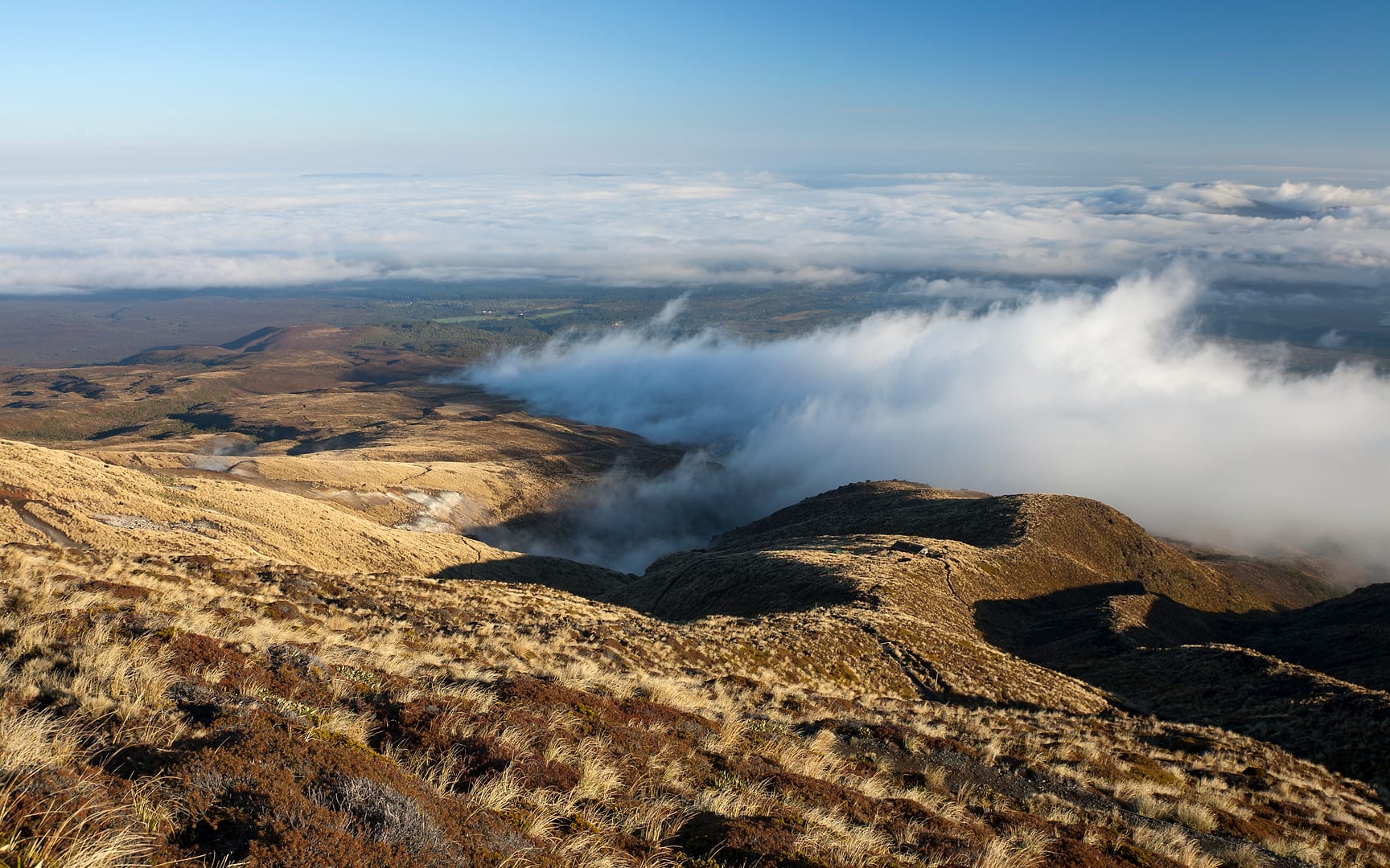 New Zealand — Tongariro — landscape