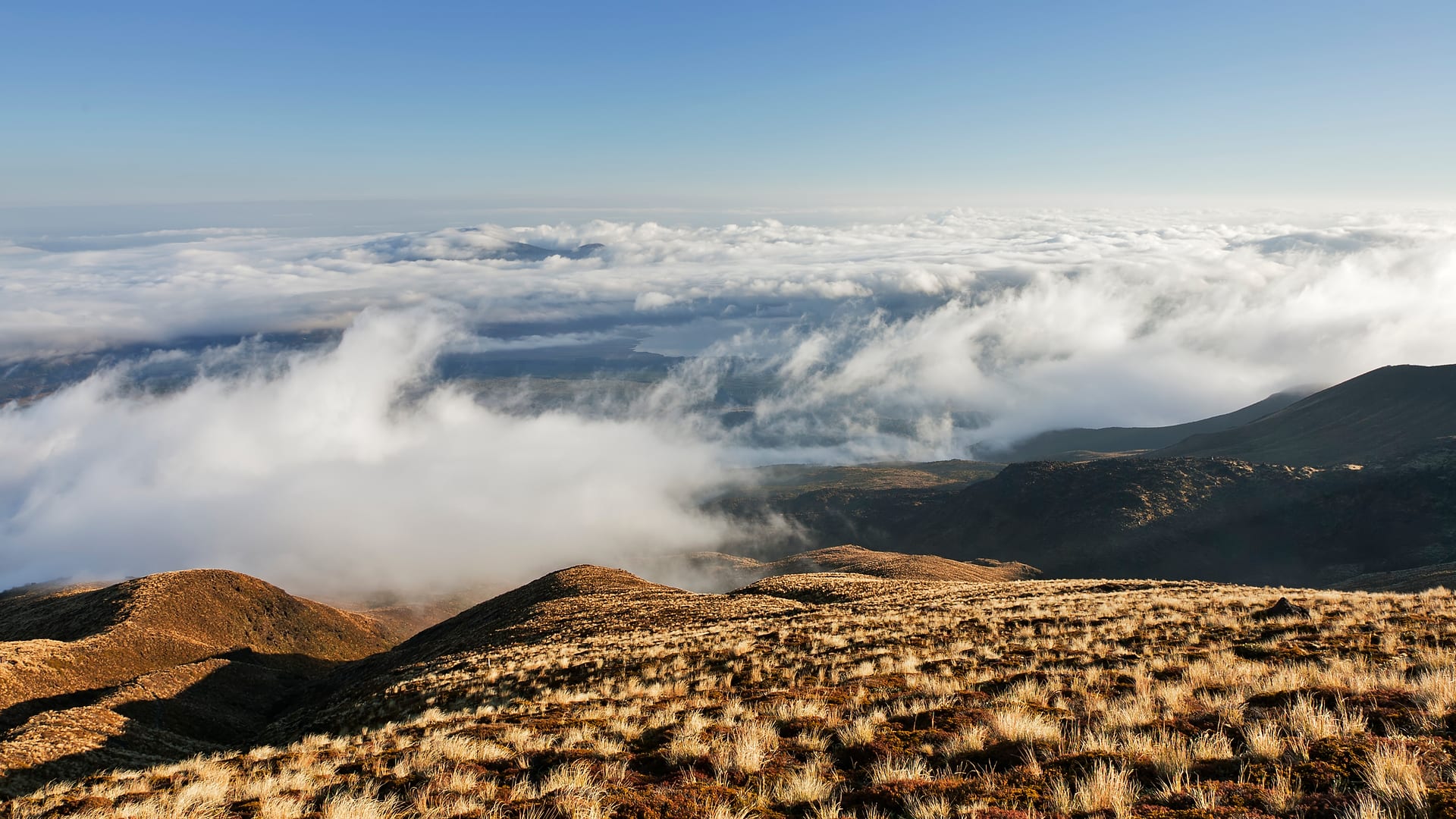 New Zealand — Tongariro — landscape