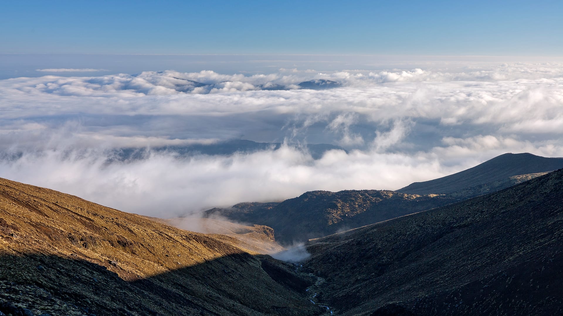 New Zealand — Tongariro — landscape
