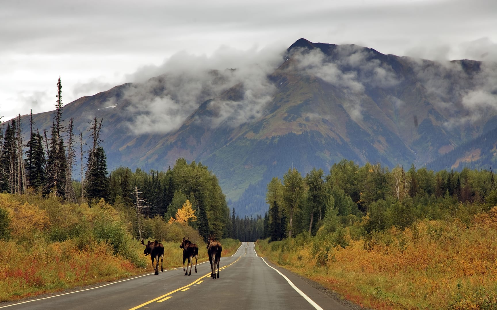 United States — Alaska — landscape