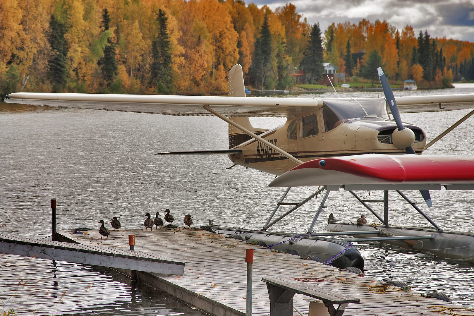 United States — Alaska — landscape