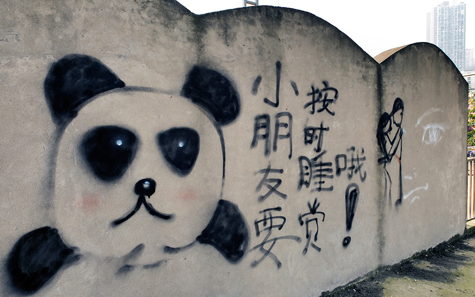 Album,China,Chongqing,Huangjueping,Graffiti,Graffiti,7,shafir,photo,image
