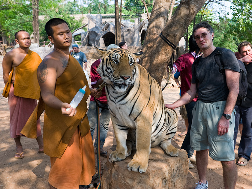 Album,Thailand,Ratchaburi,Tiger,Temple,Tiger,Temple,3,shafir,photo,image