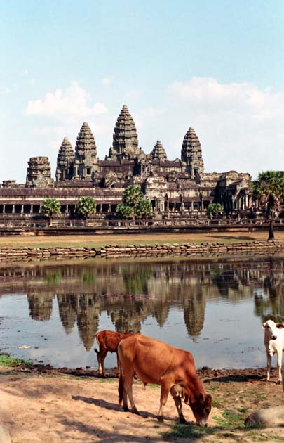 Album,Cambodia,Angkor,Wat,Watering,shafir,photo,image