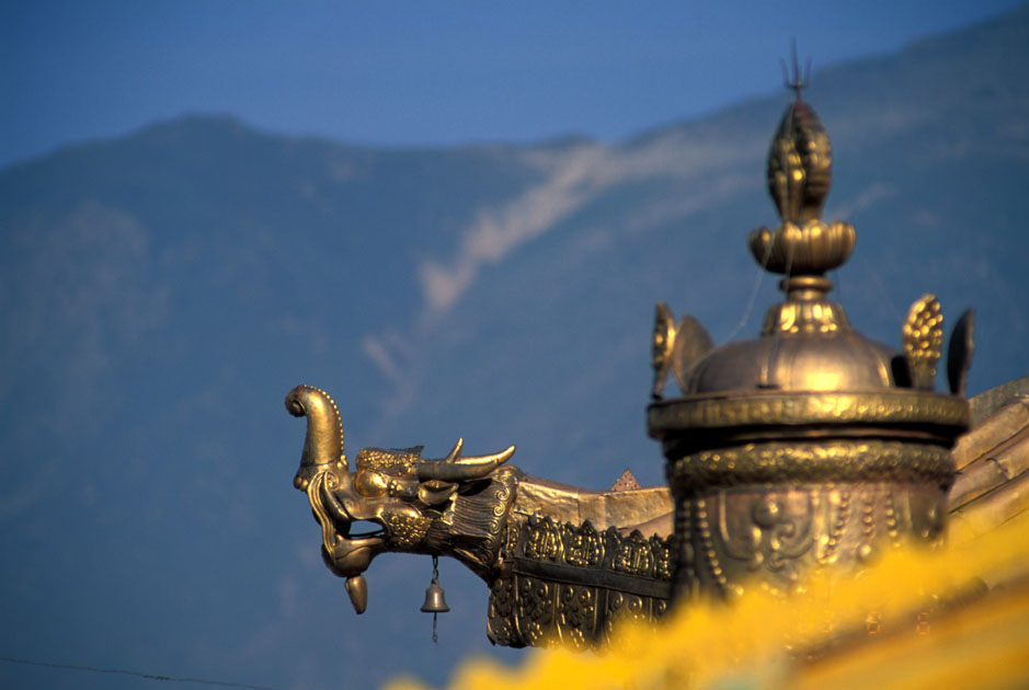 Album,Tibet,Lhasa,Potala,Roof,1,shafir,photo,image
