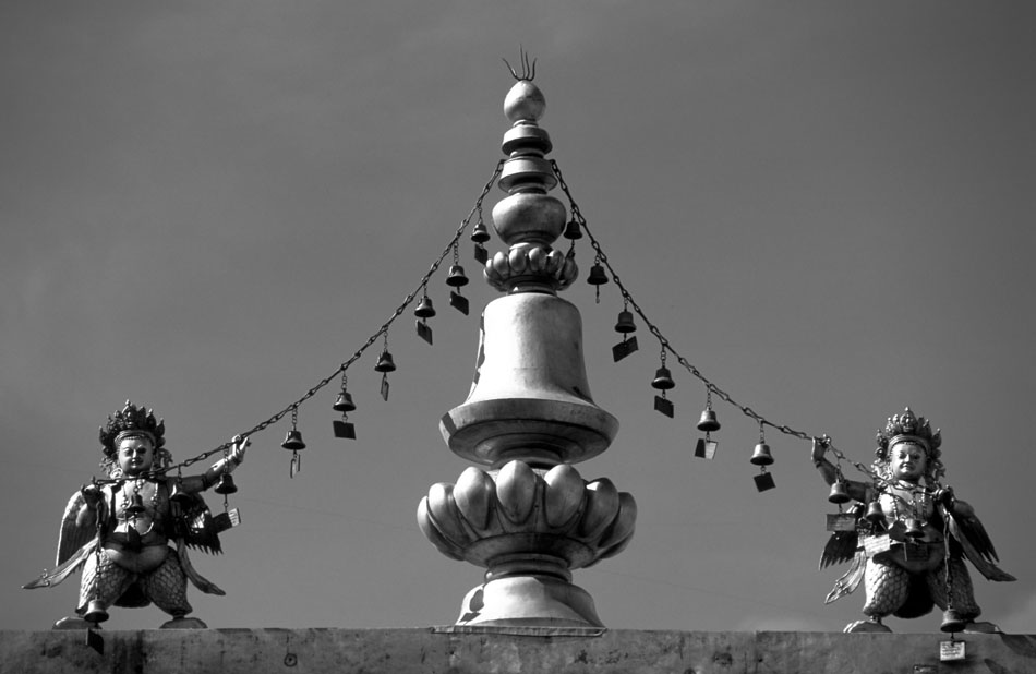 Album,Tibet,Lhasa,Jokhang,Temple,Roof,2,shafir,photo,image