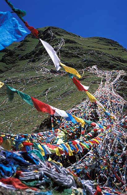 Album,Tibet,Lhasa,Climbing,Climbing,1,shafir,photo,image