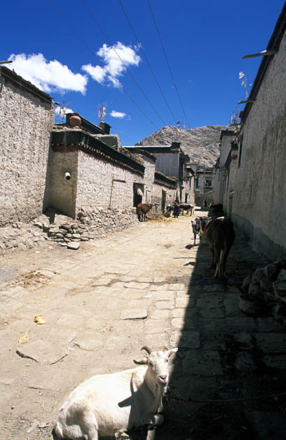 Album,Tibet,Gyantse,Streets,1,shafir,photo,image