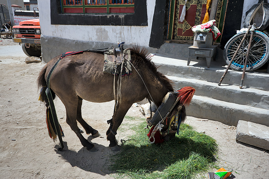 Album,Tibet,Tingri,Tingri,5,shafir,photo,image