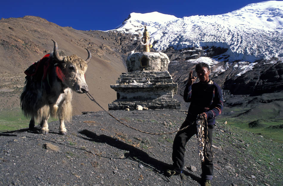 Album,Tibet,By,the,way,Yak,Cheese,shafir,photo,image