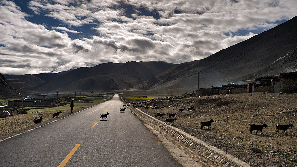 Album,Tibet,Friendship,Highway,Friendship,Highway,16,shafir,photo,image