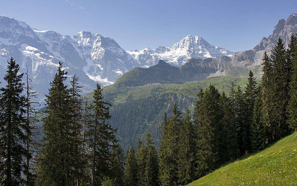 Album,Switzerland,Alpine,Pass,Route,Murren,2,shafir,photo,image