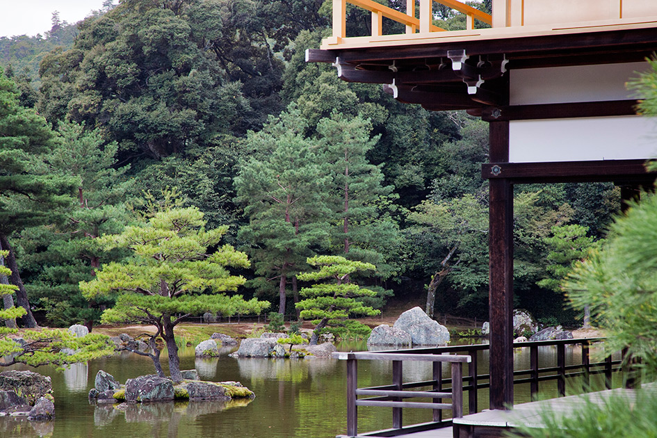 Album,Japan,Kyoto,Golden,Pavilion,Golden,Pavilion,Temple,6,shafir,photo,image