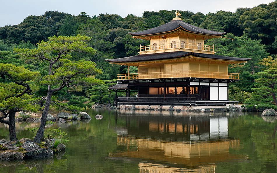 Album,Japan,Kyoto,Golden,Pavilion,Golden,Pavilion,Temple,7,shafir,photo,image