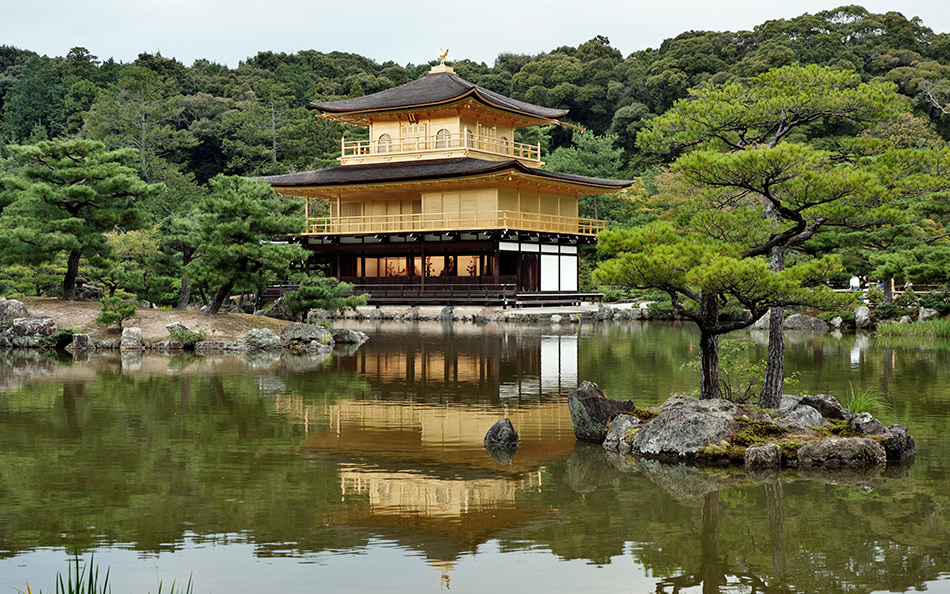 Album,Japan,Kyoto,Golden,Pavilion,Golden,Pavilion,Temple,8,shafir,photo,image