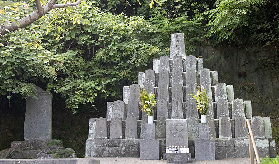 Album,Japan,Kagoshima,Monument,shafir,photo,image