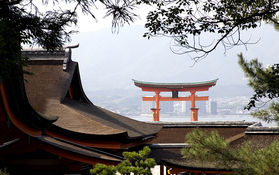 Album,Japan,Miyajima,Itsukushima,Shrine,shafir,photo,image