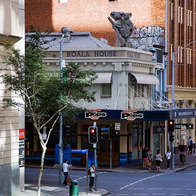 Album,Australia,Brisbane,Koala,House,shafir,photo,image