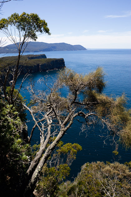 Album,Australia,Tasmania,Tasman,Coastal,Trail,Waterfall,Bluff,1,shafir,photo,image