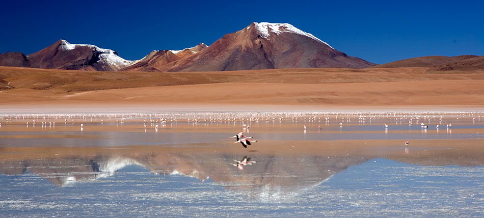 Album,Bolivia,Bolivian,Landscapes,8,shafir,photo,image