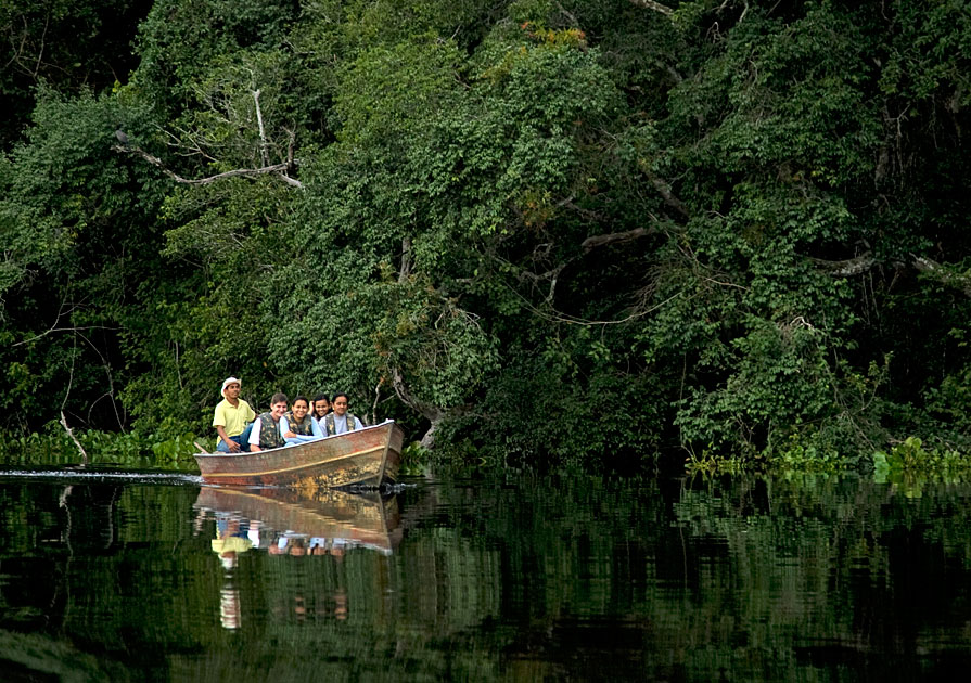 Album,Brazil,Pantanal,Pantanal,20,shafir,photo,image