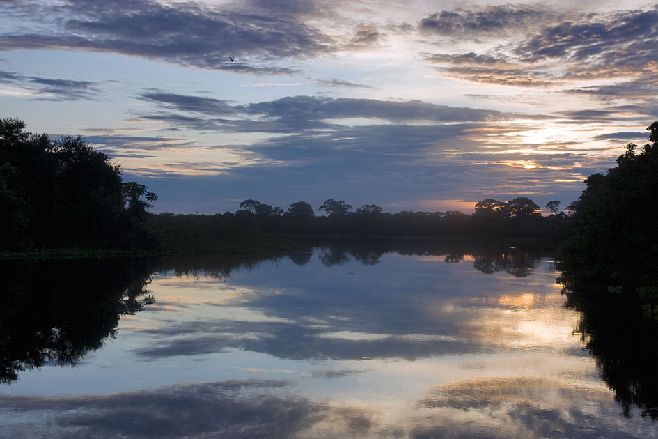 Album,Brazil,Pantanal,Pantanal,29,shafir,photo,image