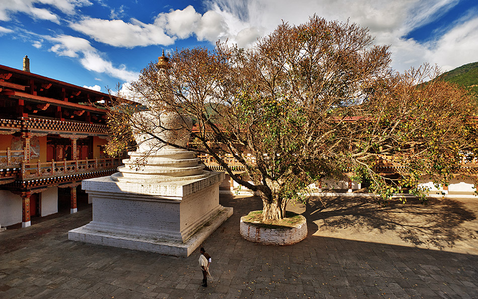 Album,Bhutan,Punakha,Dzong,11,shafir,photo,image