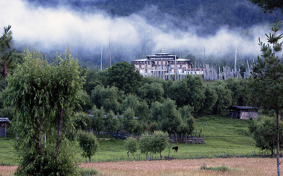 Album,Bhutan,Bumthang,Bumthang,3,shafir,photo,image
