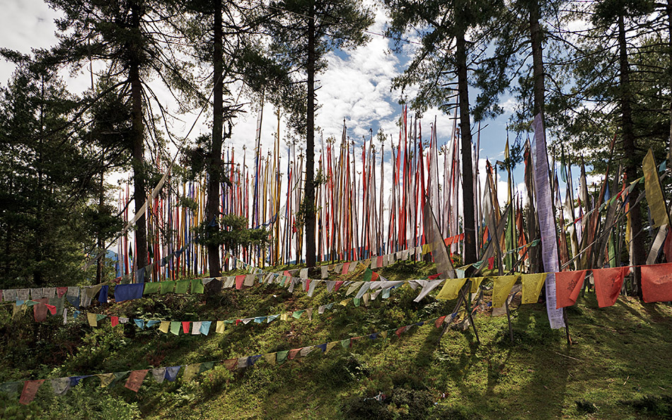 Album,Bhutan,Bumthang,Bumthang,32,shafir,photo,image