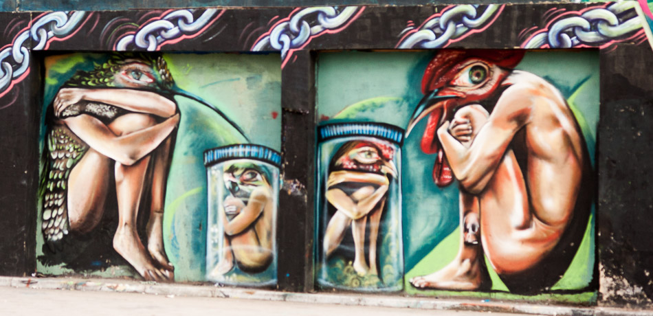 Album,Colombia,Bogota,Graffiti,Graffiti,209,shafir,photo,image