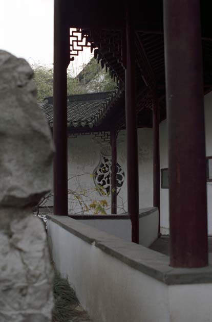 Journal,China,Suzhou,Lion,Grove,Garden,1,shafir,photo,image