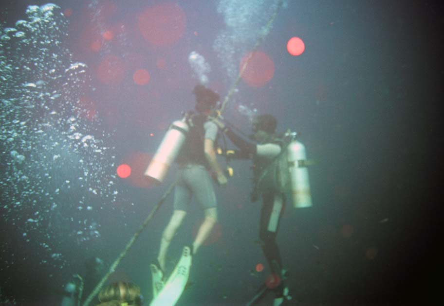 Journal,Thailand,Diving,Scuba,9,shafir,photo,image