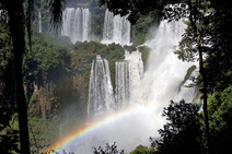Album / Argentina / Iguazu Falls / Iguazu Falls 3