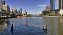 Album / Australia / Melbourne / Yarra River 6