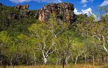 Album / Australia / Northern Territory / Kakadu National Park / Anbangbang