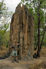 Album / Australia / Northern Territory / Kakadu National Park / Termite Mound