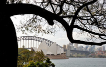 Album / Australia / Sydney / Royal Botanic Gardens 2