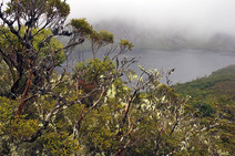 Album / Australia / Tasmania / Overland Track / Crater Lake 3