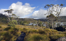 Album / Australia / Tasmania / Overland Track / Lake Windermere