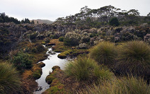 Album / Australia / Tasmania / Overland Track / Waterfall Valley 2