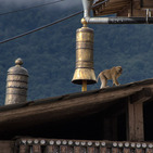 Album / Bhutan / Trongsa / Dzong 17