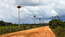 Album / Brazil / Pantanal / Pantanal 5