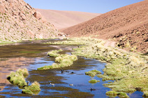 Album / Chile / Atacama Desert / River