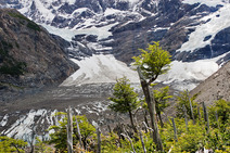 Album / Chile / Torres del Paine National Park / Glacier del Frances 2