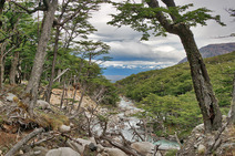 Album / Chile / Torres del Paine National Park / Rio Frances 2