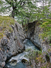 Album / Chile / Torres del Paine National Park / Rio Olguin