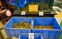 Album / China / Guangzhou / Volume 2 / Fish Restaurant / Fish Restaurant 2
