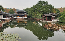 Album / China / Hangzhou / Botanical Garden / Botanical Garden 10
